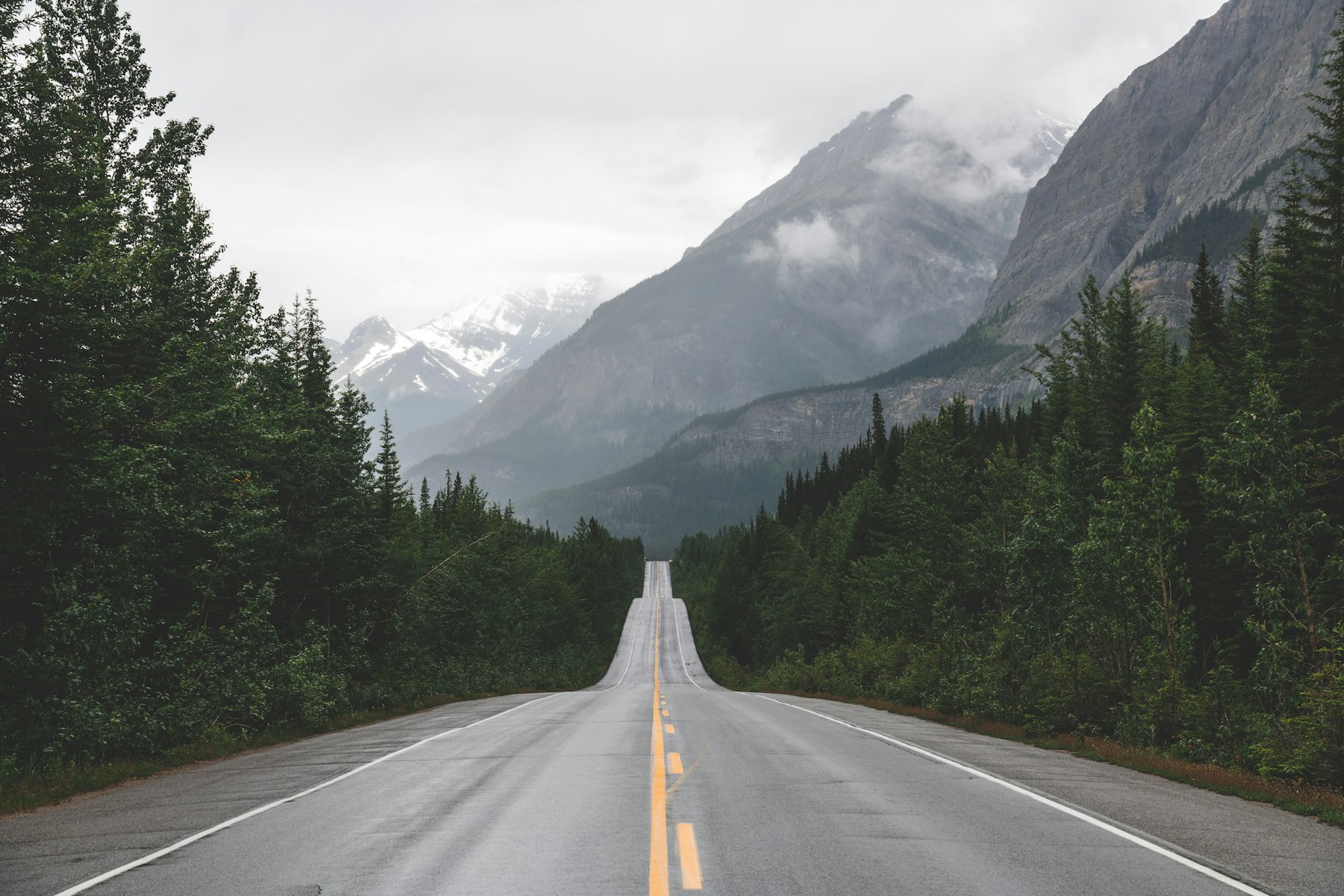 Highway through the Canadian Rockies